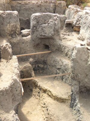 Hallazgos arqueológicos del Parque Arqueológico y del Patrimonio Cultural de Usme