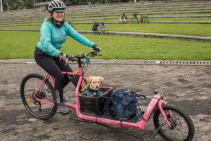 Mujer en bicicleta con perro en la canasta