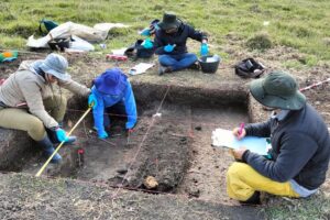 Personas excavando en un lugar arqueológico