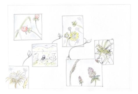 Dibujo cuarto puesto dibujatón titulado Detalles unidos
