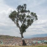 El palo del ahorcado con ciudad bolivar al fondo