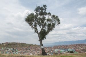 El palo del ahorcado con ciudad bolivar al fondo