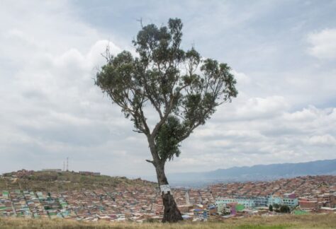 El palo del ahorcado con ciudad bolivar al fondo