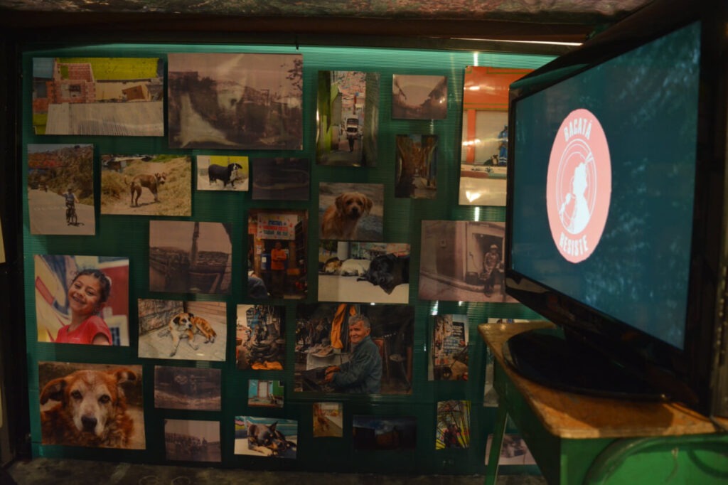 Pared llena de fotografías de personas, animales, lugares para el proceso del Diplomado en Comunicación Popular y Comunitaria Bacatá Resiste