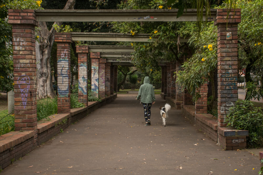 Persona caminando con su perro por el Parque El Brasil en la localidad de teusaquillo.
