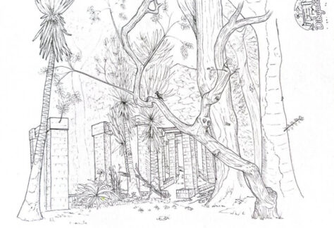 Dibujo ganador La ciudad de los árboles silenciosos