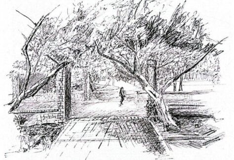 Dibujo Ganador de Jose David Salguero