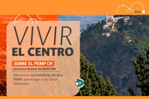 Consulta la cuarta edición del boletín PEMP CHB ‘Vivir en el Centro’