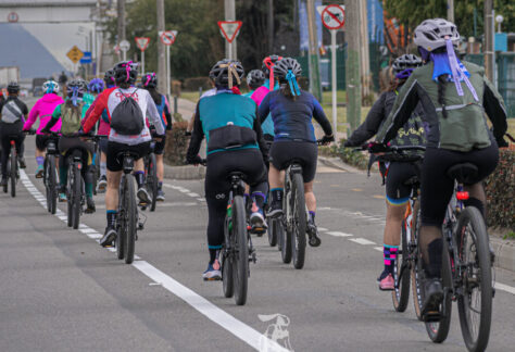 Convocatoria para la Exposición Participativa “Mujeres en Bici” del IDPC y el Museo de Bogotá