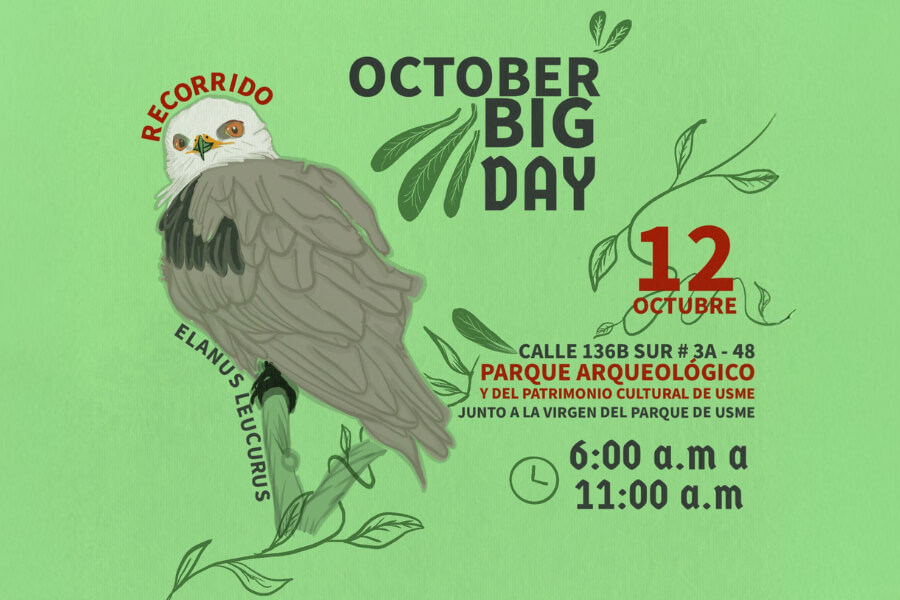 Únete al October Big Day en el Parque Arqueológico y del Patrimonio Cultural de Usme