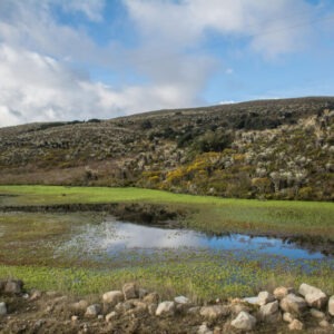 Sumapaz
