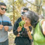 Recorrido Patrimonial: plantas y saberes en el San Juan de Dios