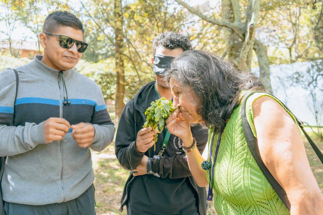 Recorrido Patrimonial: plantas y saberes en el San Juan de Dios