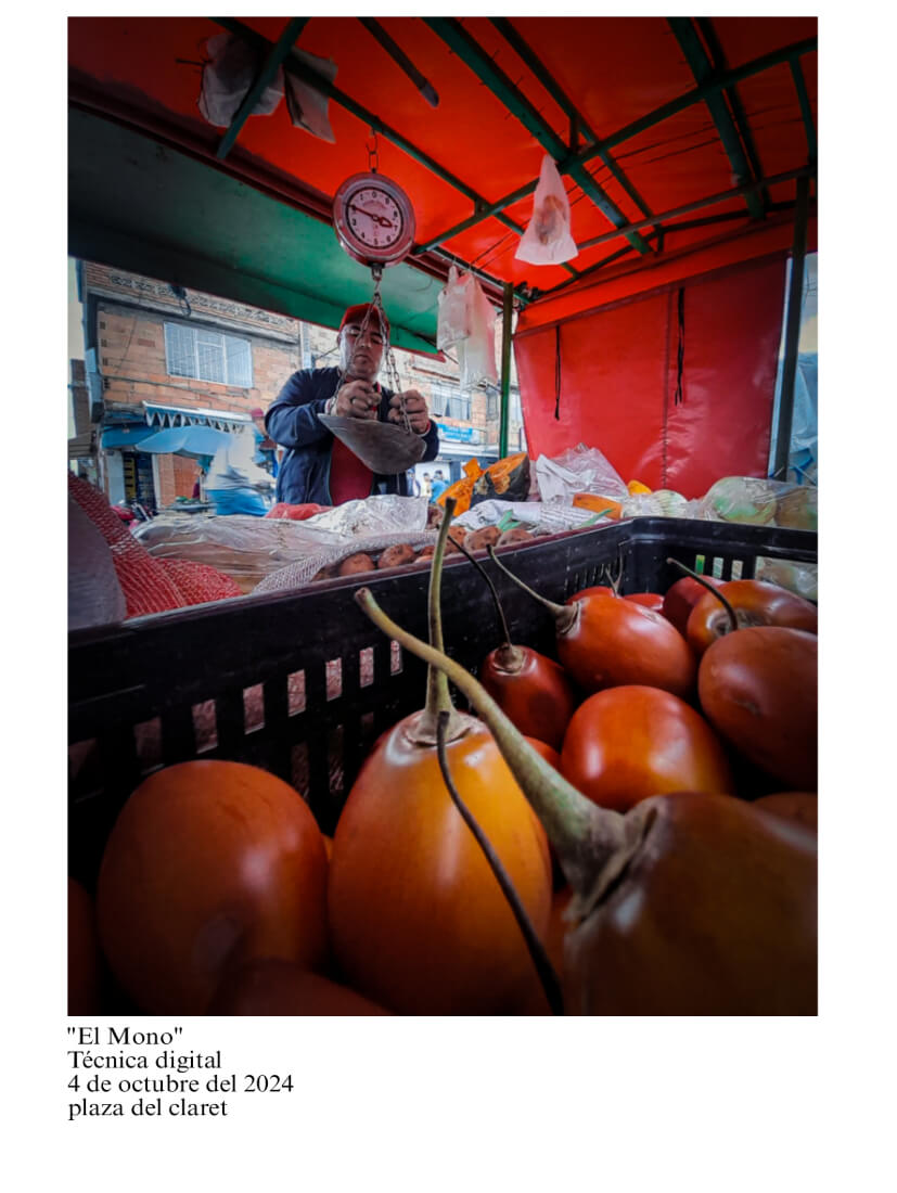 El Mono Fotografia ganadora