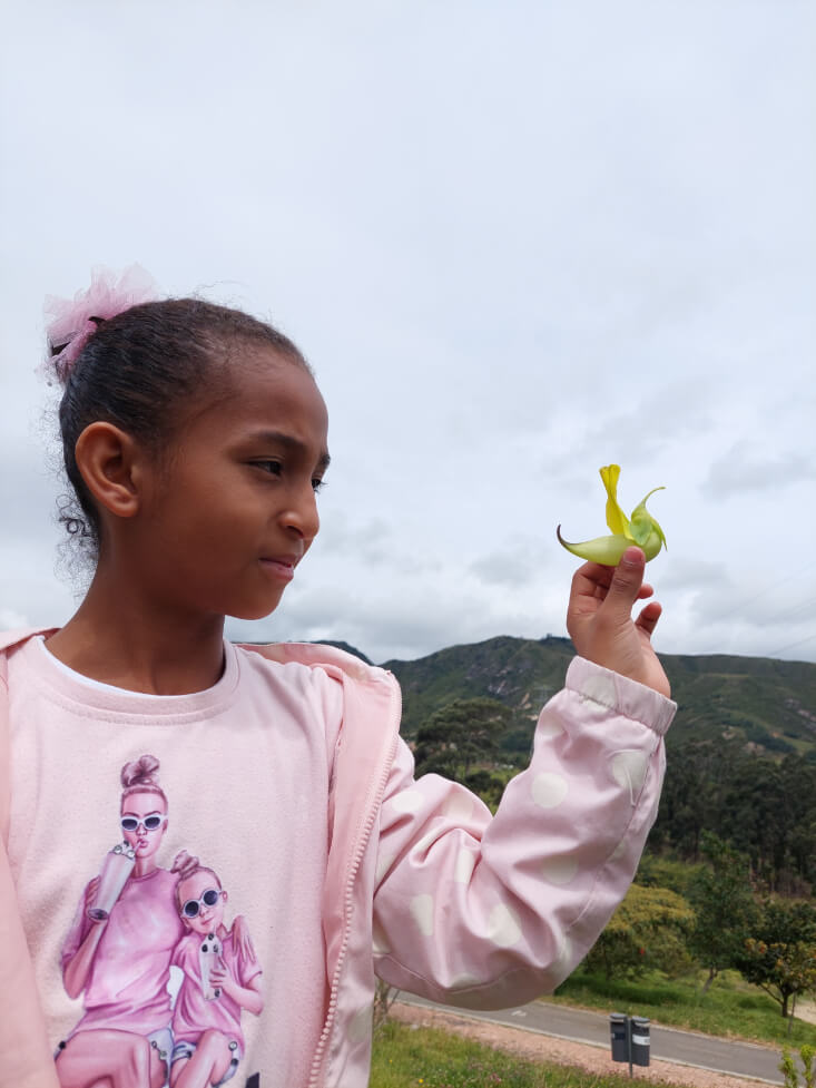 Niña mirando una flor que sostiene con su mano