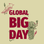 Global Big Day Recorrido ambiental y observación de aves en el Parque Arqueológico y del Patrimonio Cultural de Usme