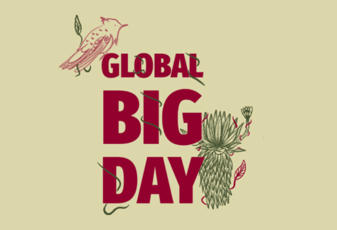 Global Big Day Recorrido ambiental y observación de aves en el Parque Arqueológico y del Patrimonio Cultural de Usme