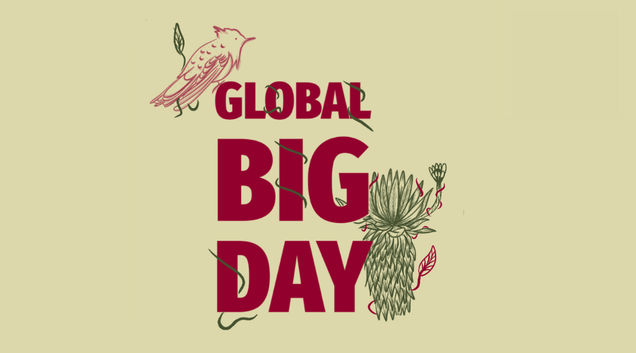 Global Big Day Recorrido ambiental y observación de aves en el Parque Arqueológico y del Patrimonio Cultural de Usme