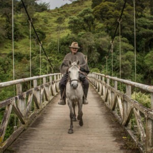 El patrimonio que brota: cultura, territorio y naturaleza en Bogotá