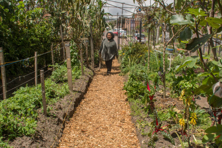 El patrimonio que brota: cultura, territorio y naturaleza en Bogotá