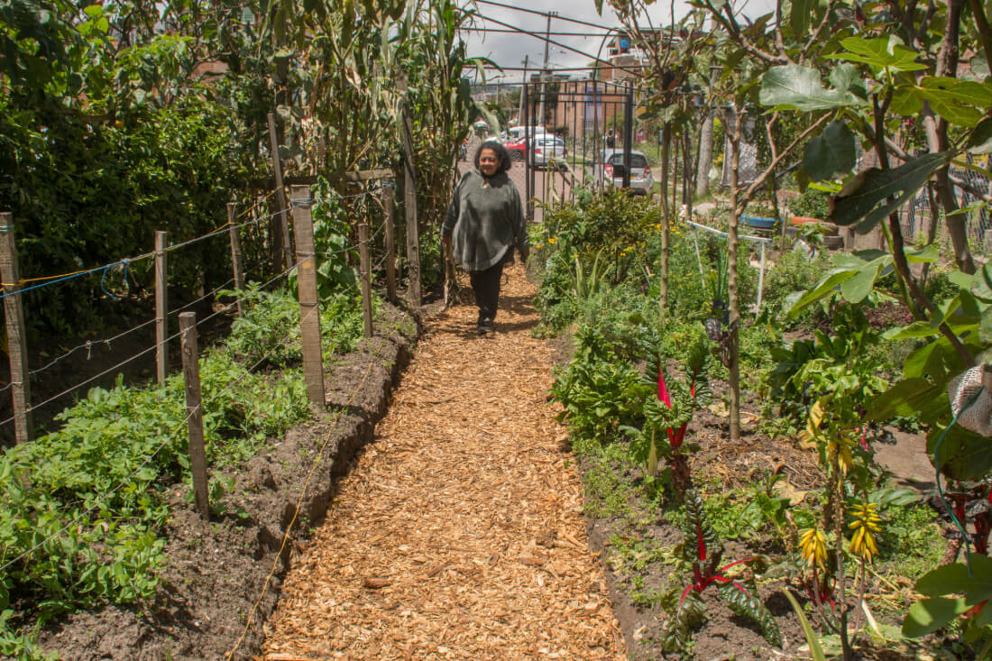 El patrimonio que brota: cultura, territorio y naturaleza en Bogotá