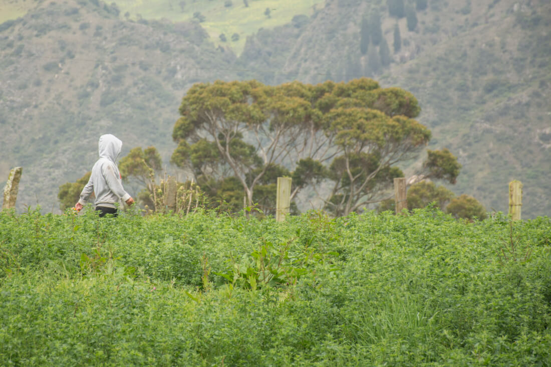 hombre caminando durante recorrido en usme