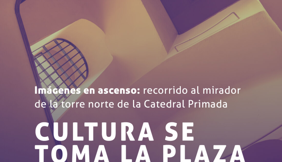 Imágenes en ascenso: recorrido al mirador de la torre norte de la Catedral Primada