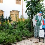 Visitando las huertas del Museo de Bogotá y Museo de la Independencia