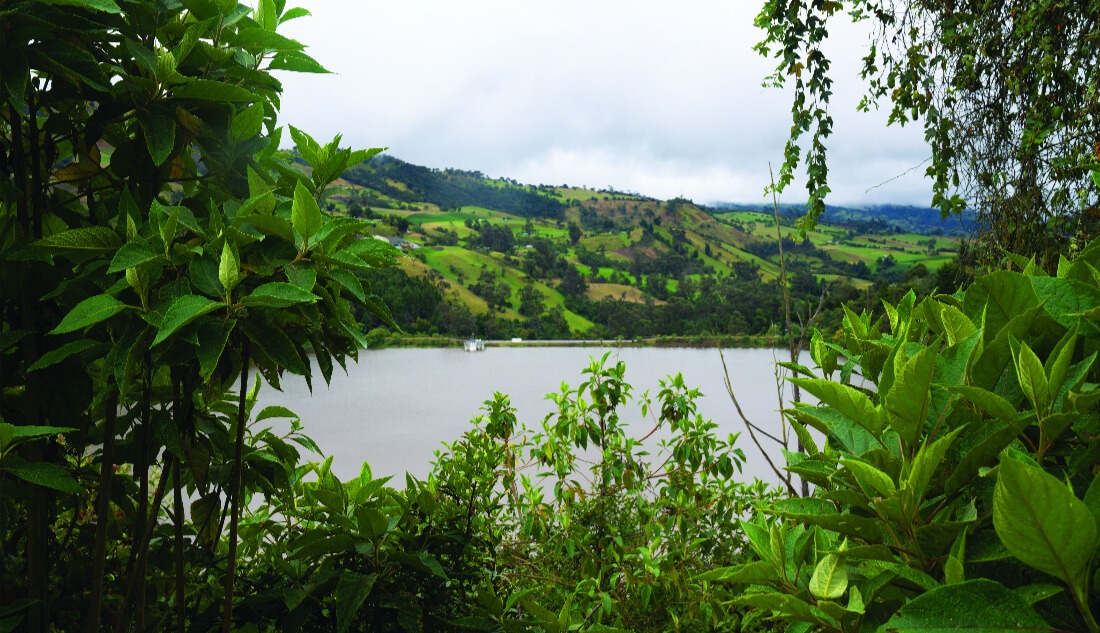 Bogotá entre dos aguas