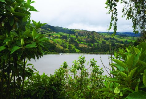 Bogotá entre dos aguas