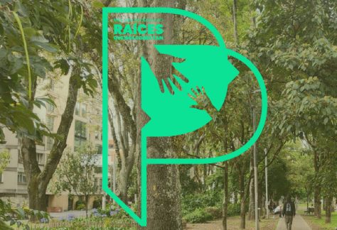 Ciencia participativa en el Parkway: un recorrido por memorias y naturaleza