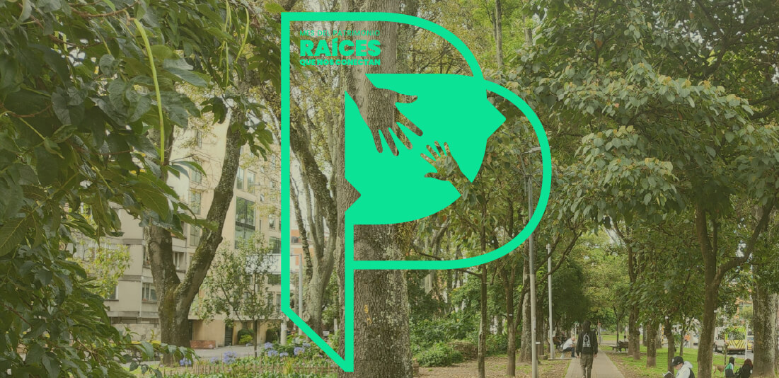 Ciencia participativa en el Parkway: un recorrido por memorias y naturaleza