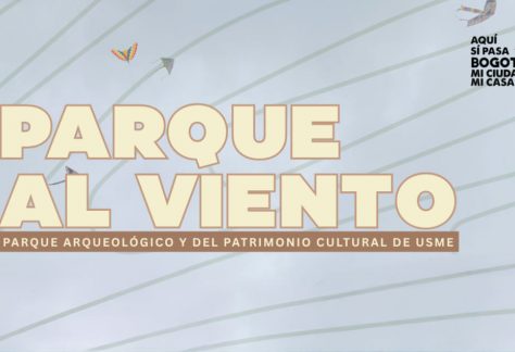 Parque al viento: volar cometas con un propósito