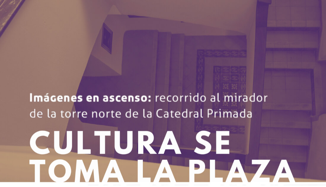 Imágenes en ascenso: recorrido al mirador de la torre norte de la Catedral Primada