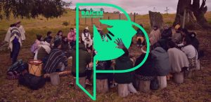 Equinoccio de Otoño: un encuentro con la Madre Tierra