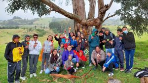 El Diplomado en Patrimonio Cultural para la Educación – DPCE abre preinscripciones para la Cohorte II · 2025