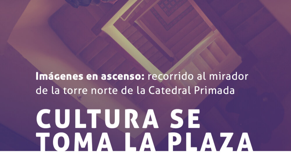 Imágenes en Ascenso: Recorrido al mirador de la Torre Norte de la Catedral Primada