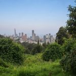 Ciudad, patrimonio y naturaleza urbana van de la mano en Bogotá