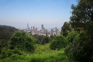 Ciudad, patrimonio y naturaleza urbana van de la mano en Bogotá