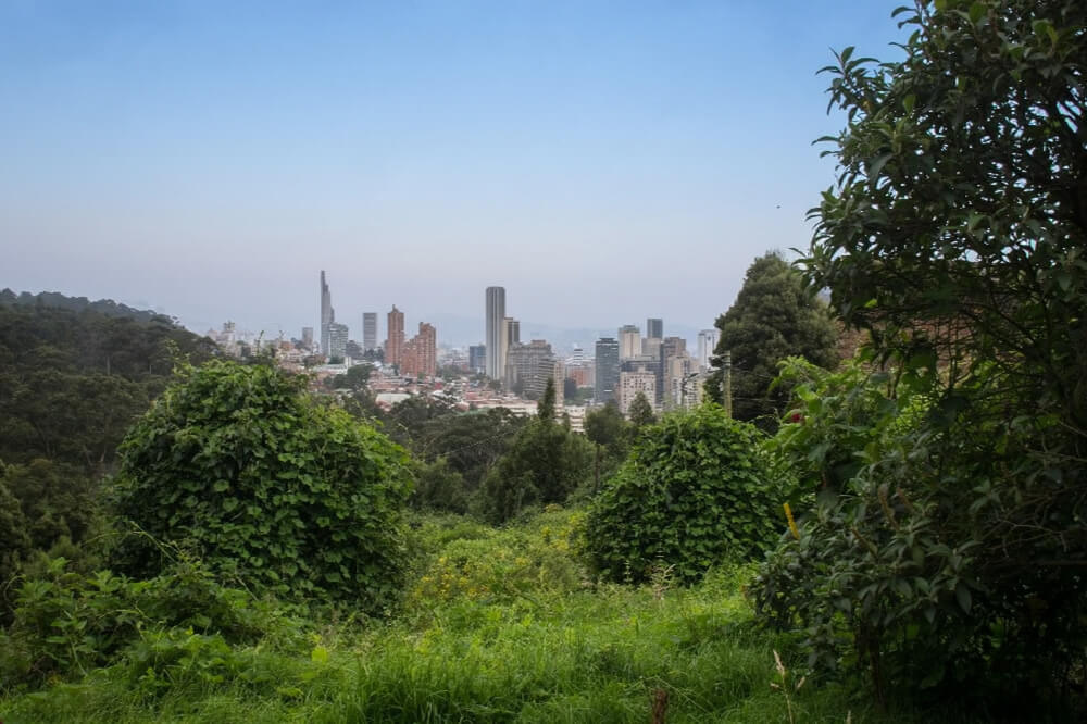 Ciudad, patrimonio y naturaleza urbana van de la mano en Bogotá