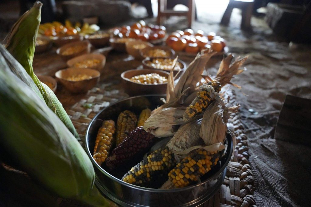 Maíz en abundancia en el festival Jizca Chia Zhue