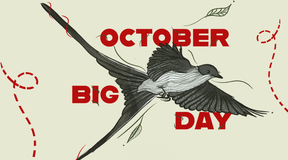 October Big Day en Usme: jornada de avistamiento de aves en el Parque Arqueológico y del Patrimonio Cultural