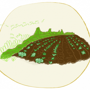 bosque