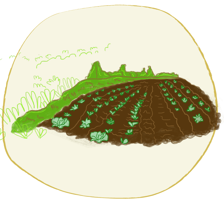 bosque
