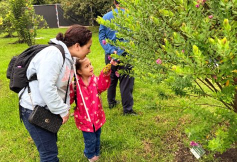 Una madre y su hija explorando plantas junto a un árbol,