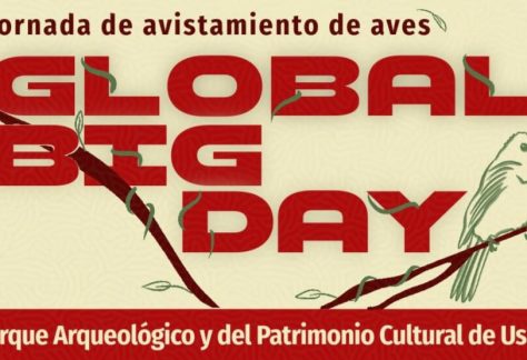 El Parque Arqueológico y del Patrimonio Cultural de Usme - PAPCU se suma al Global Big Day 2026, la jornada de avistamiento de aves más grande del mundo