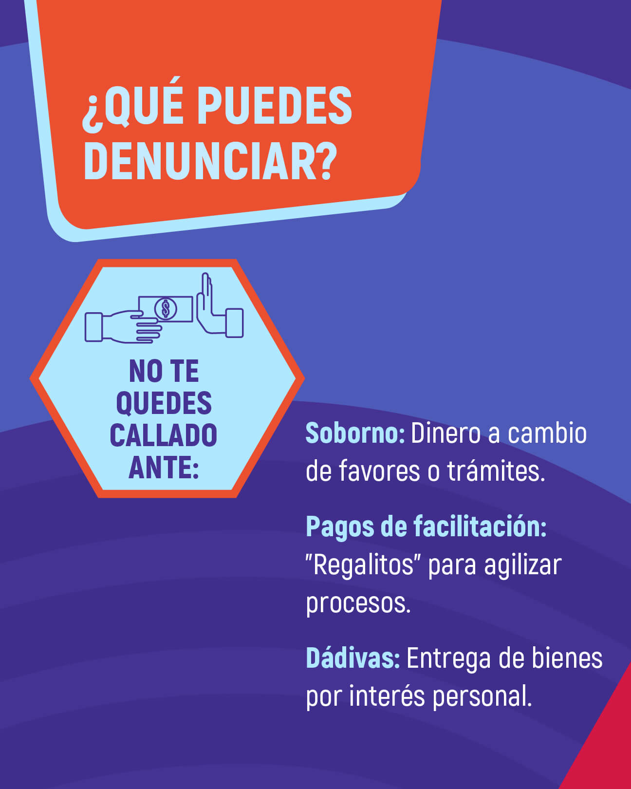 Pieza gráfica con detalles de ¿Qúe puedes denunciar?