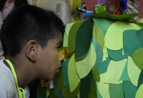 Primer plano de un niño que se asoma con curiosidad para observar detalladamente las figuras y texturas de hojas de árboles hechas en papel dentro de una de las cajas de la exposición.