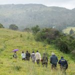 Recorrido naturalista: restaurando el territorio