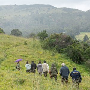 Recorrido naturalista: restaurando el territorio